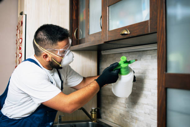 Best Commercial Pest Control Services  in Clarkesville, GA