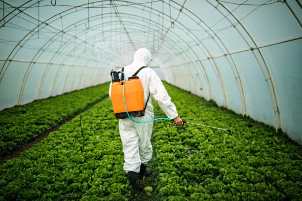 Best Local Pest Control Services  in Clarkesville, GA