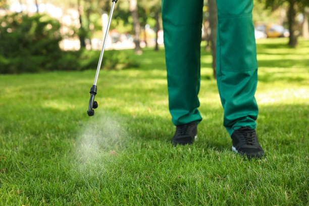 Best Termite Control Services  in Clarkesville, GA