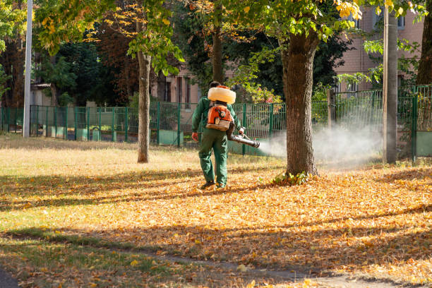 Best Best Pest Control Companies  in Clarkesville, GA