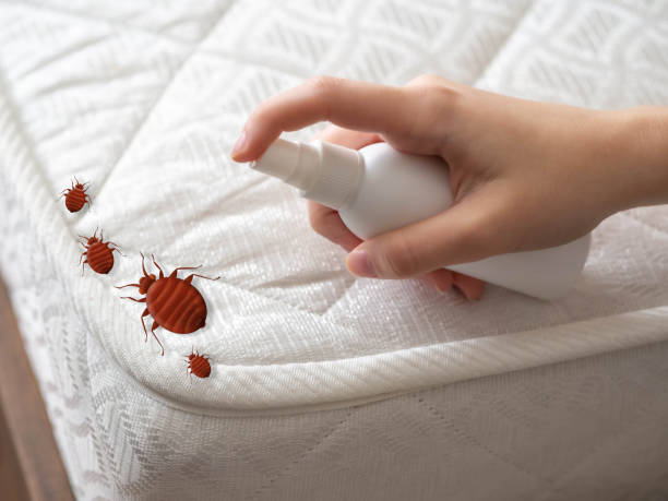 Pest Control for Restaurants in Clarkesville, GA